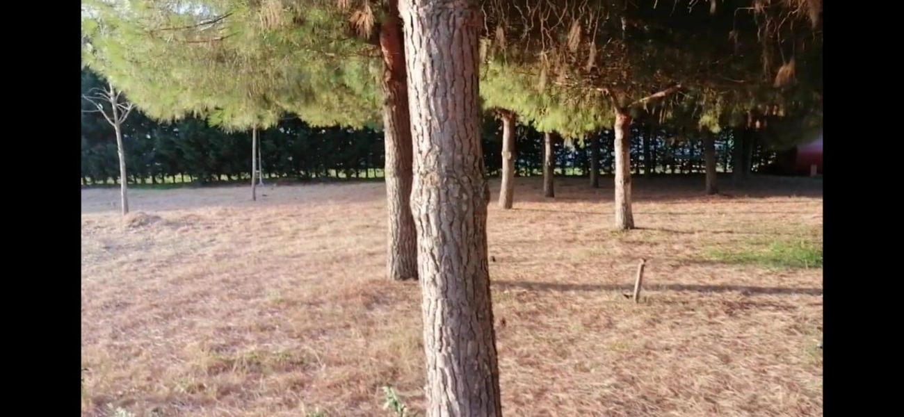 UMT İnşaat tamamlanan peyzaj çalışması
